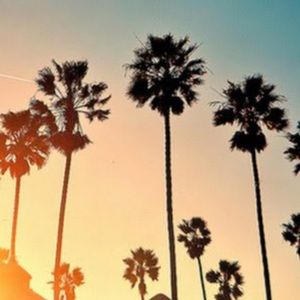 Meet your Posher, Lainey